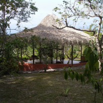 фото из отзыва ID 150548