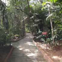 фото из отзыва ID 150548