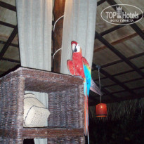 фото из отзыва ID 150548