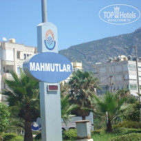 фото из отзыва ID 150651