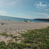 фото из отзыва ID 1500019