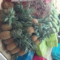 фото из отзыва ID 1500019