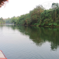 фото из отзыва ID 1500390