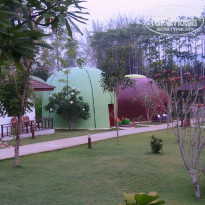 фото из отзыва ID 1500390