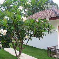 фото из отзыва ID 1500390