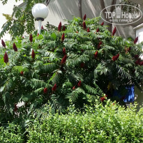 фото из отзыва ID 1500481