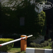 фото из отзыва ID 1500481