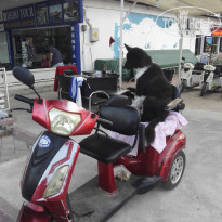 фото из отзыва ID 1500487