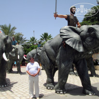 фото из отзыва ID 1500563