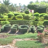 фото из отзыва ID 1500572