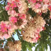 фото из отзыва ID 1500572