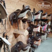 фото из отзыва ID 1500498