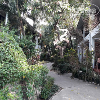 фото из отзыва ID 1500726