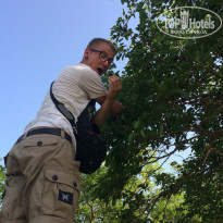 фото из отзыва ID 1500743