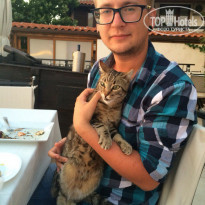 фото из отзыва ID 1500743