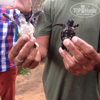 фото из отзыва ID 1500753