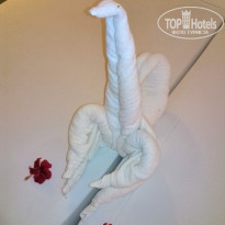 фото из отзыва ID 1500753