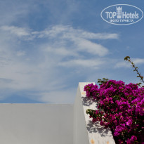 фото из отзыва ID 1500776