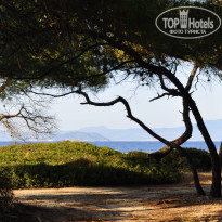 фото из отзыва ID 1500776