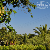 фото из отзыва ID 1500776