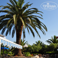 фото из отзыва ID 1500776