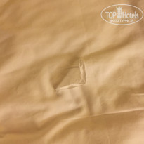 фото из отзыва ID 1500802