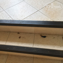 фото из отзыва ID 1500802