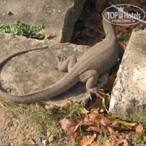 фото из отзыва ID 1500824