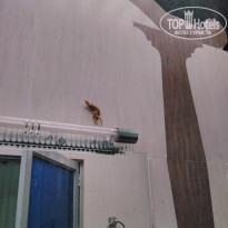 фото из отзыва ID 1500824