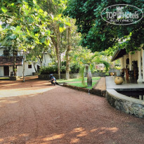 фото из отзыва ID 1500824