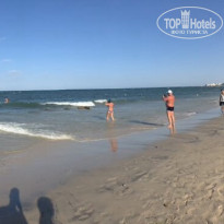 фото из отзыва ID 1501166