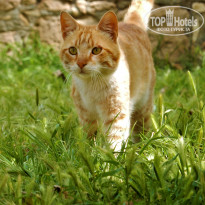 фото из отзыва ID 1501257