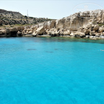 фото из отзыва ID 1501257