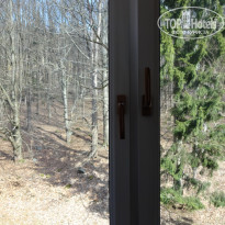 фото из отзыва ID 1501289