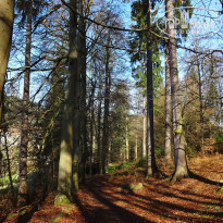 фото из отзыва ID 1501289