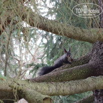 фото из отзыва ID 1501289