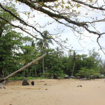 фото из отзыва ID 1501467