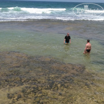 фото из отзыва ID 1501516