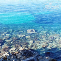 фото из отзыва ID 1501627