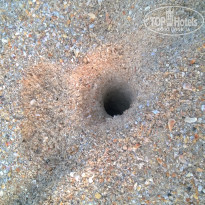 фото из отзыва ID 1501842