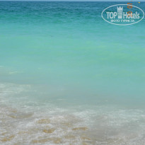 фото из отзыва ID 1501894