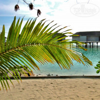 фото из отзыва ID 1501991