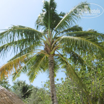 фото из отзыва ID 1501991