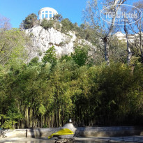 фото из отзыва ID 1502009