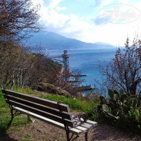 фото из отзыва ID 1502009