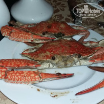 фото из отзыва ID 1501527