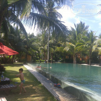 фото из отзыва ID 1502562