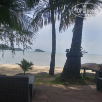 фото из отзыва ID 1502562