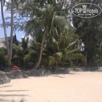 фото из отзыва ID 1502562