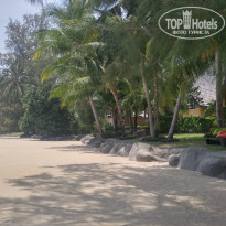 фото из отзыва ID 1502562